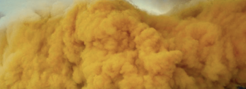 Visuel - Les Tempêtes